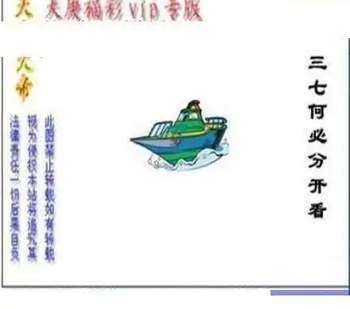 25310期: 三毛3D精品图谜