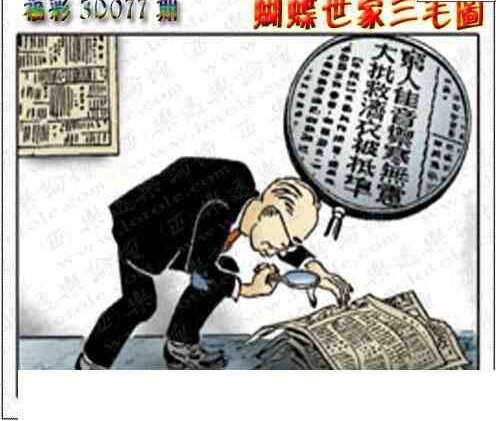 24077期: 3D蝴蝶世家蝴蝶彩图