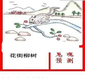 25346期: 白老3D杀码图版