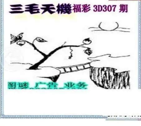 25307期: 三毛3D精品图谜