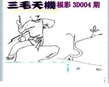 26004期: 三毛3D精品图谜
