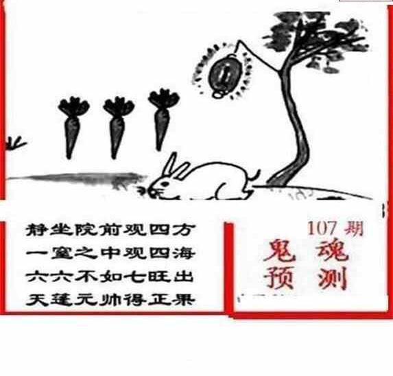 24107期: 三毛3D精品图谜