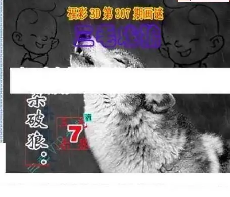 25307期: 三毛3D精品图谜