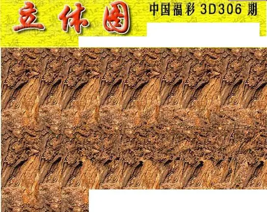 25306期: 3D蝴蝶世家蝴蝶彩图