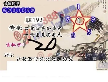25347期: 白老3D杀码图版