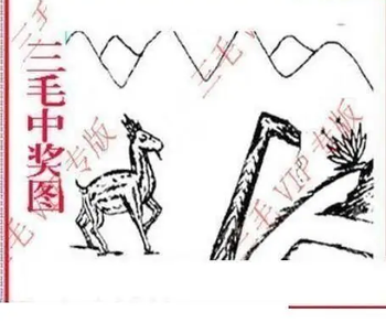 25347期: 三毛3D精品图谜