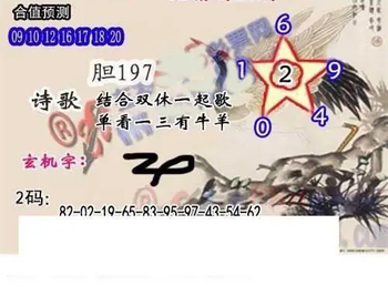 26057期: 白老3D杀码图版