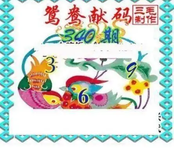 25340期: 三毛3D精品图谜