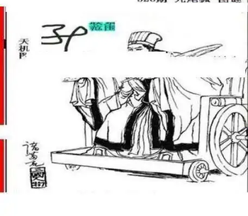 25326期: 三毛3D精品图谜