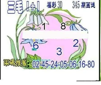 25345期: 三毛3D精品图谜