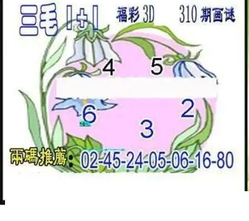 25310期: 三毛3D精品图谜