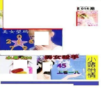 26014期: 三毛3D精品图谜