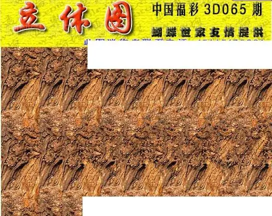 25065期: 3D蝴蝶世家蝴蝶彩图