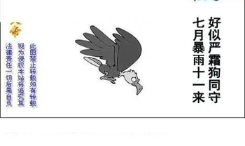 26034期: 白老3D杀码图版