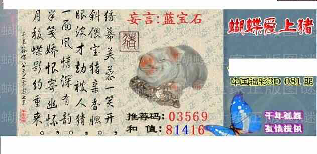 24081期: 3D蝴蝶世家蝴蝶彩图