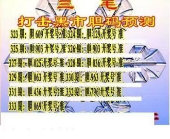 25333��: ��ë3D��Ʒͼ��