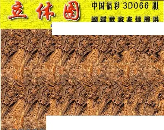 25066期: 3D蝴蝶世家蝴蝶彩图