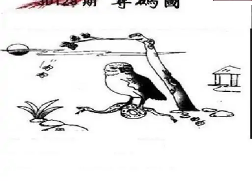 25128期: 三毛3D精品图谜