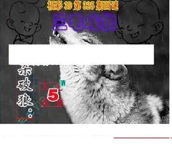 25325期: 三毛3D精品图谜