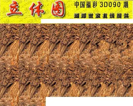 25090期: 3D蝴蝶世家蝴蝶彩图