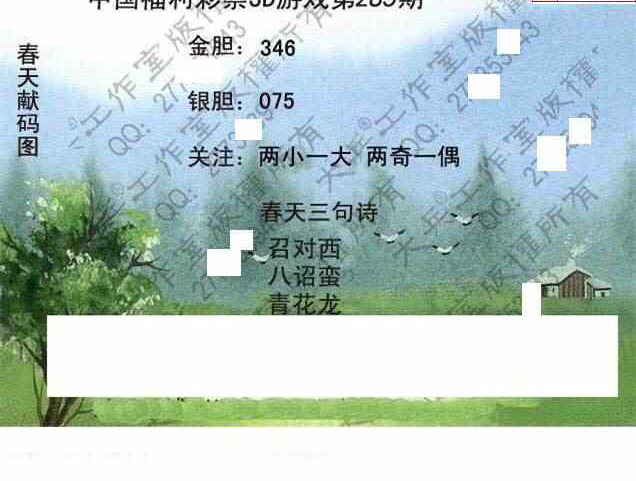 24285期: 大兵福彩3D黄金报图版