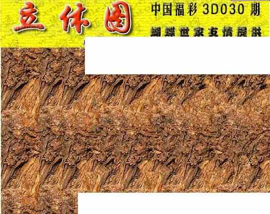 25030期: 3D蝴蝶世家蝴蝶彩图