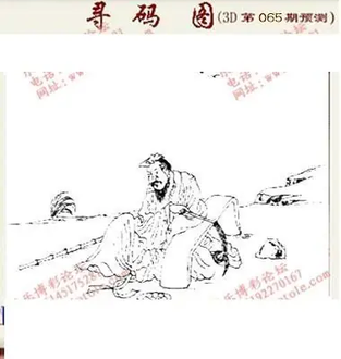 九宝图26065期福彩3D寻码图