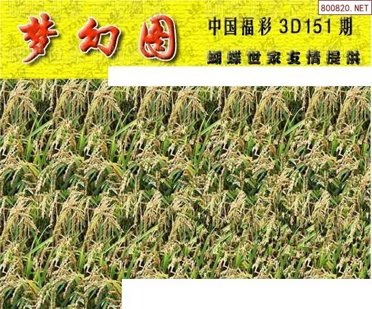 25151期: 3D蝴蝶世家蝴蝶彩图