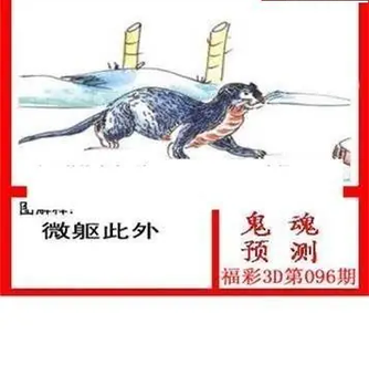 26096期: 白老3D杀码图版