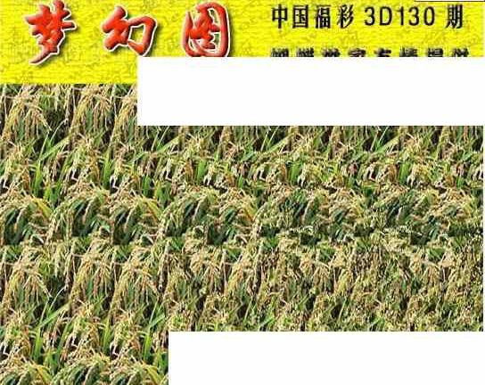 24130期: 3D蝴蝶世家蝴蝶彩图