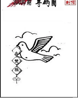 26030期: 三毛3D精品图谜