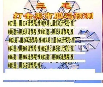 26018期: 三毛3D精品图谜