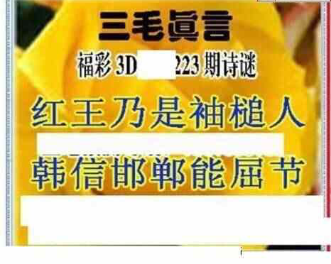 24223期: 三毛3D精品图谜