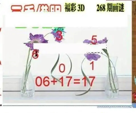 25268期: 三毛3D精品图谜