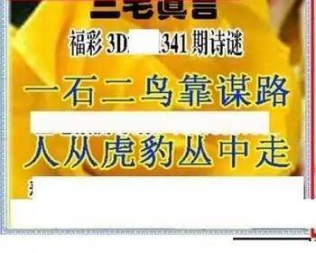 25341期: 三毛3D精品图谜