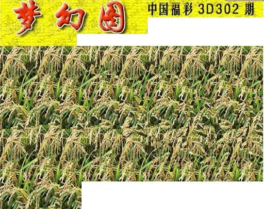 25302期: 3D蝴蝶世家蝴蝶彩图