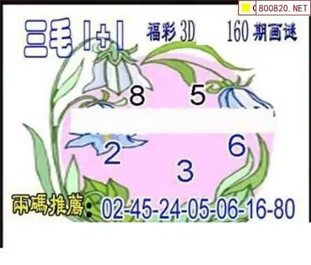 25160期: 三毛3D精品图谜
