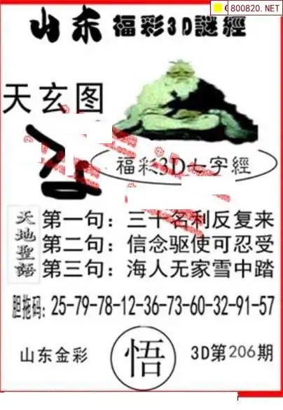 25206期: 福彩3D丹东全图分析