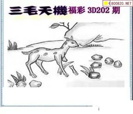25202期: 三毛3D精品图谜