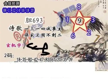 26061期: 白老3D杀码图版