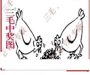 26054期: 三毛3D精品图谜