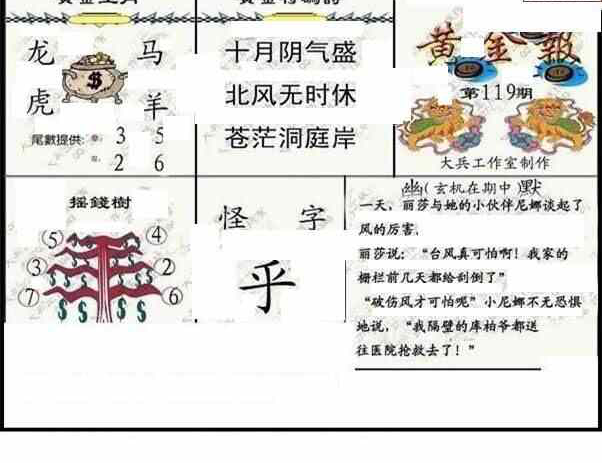 24119期: 大兵福彩3D黄金报图版