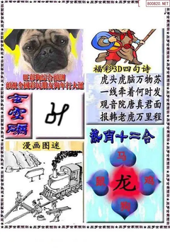 福彩3D 26093期佐罗图一掌经预测图