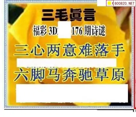 25176期: 三毛3D精品图谜