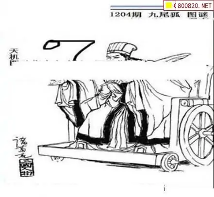 25204期: 三毛3D精品图谜