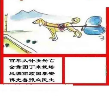 26106期: 三毛3D精品图谜