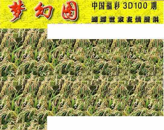 24100期: 3D蝴蝶世家蝴蝶彩图