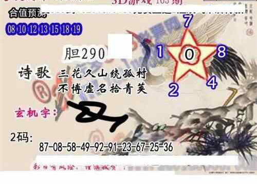 24163期: 白老3D杀码图版