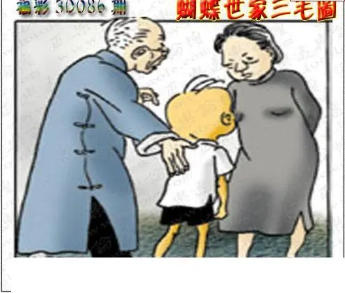 25086期: 3D蝴蝶世家蝴蝶彩图