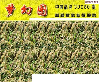 26080期: 3D蝴蝶世家蝴蝶彩图